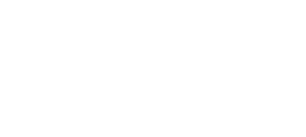 logo footer